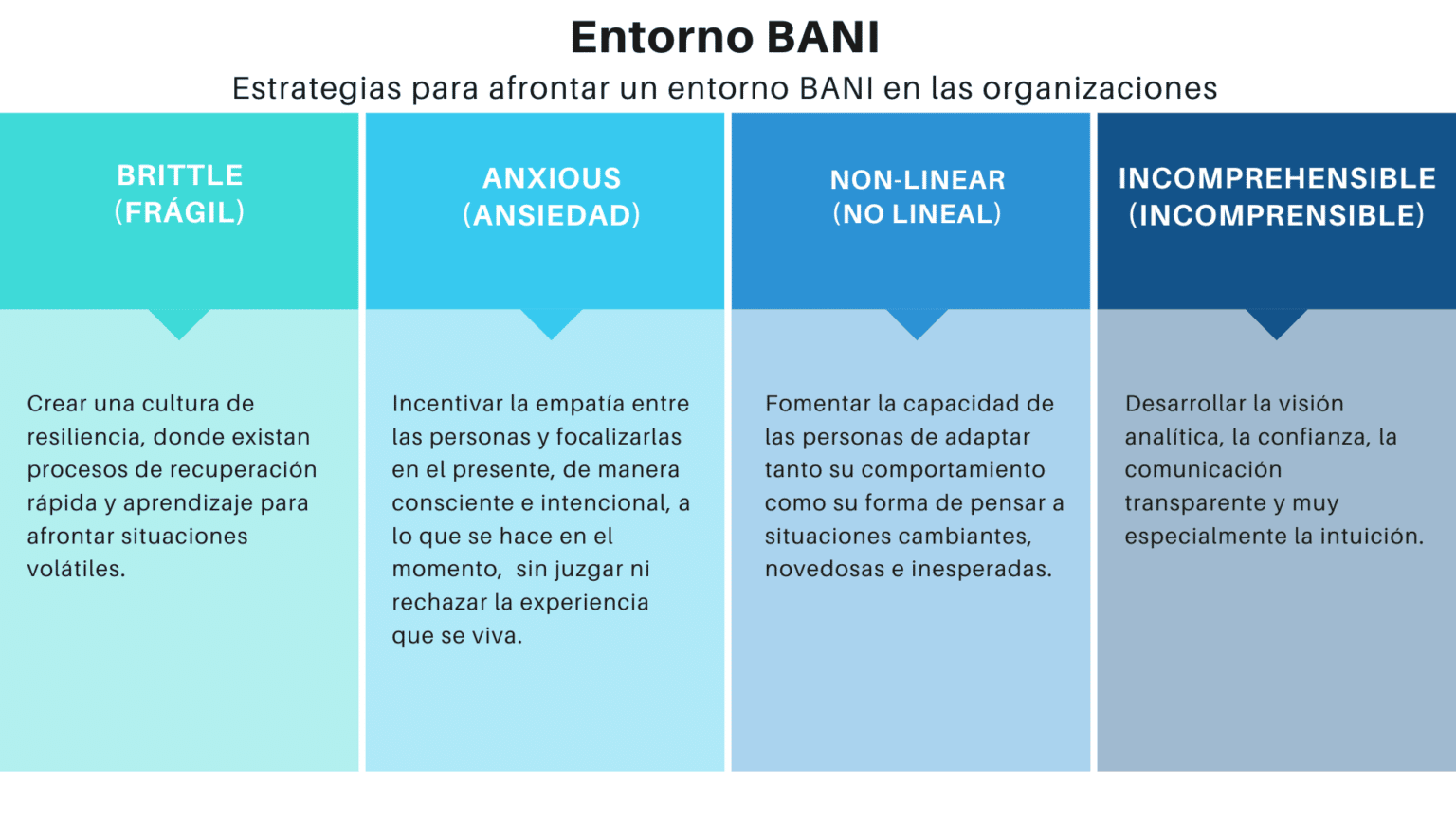 ¿Qué Es El Entorno BANI? Y ¿Cómo Nos Afecta? Adiós VUCA